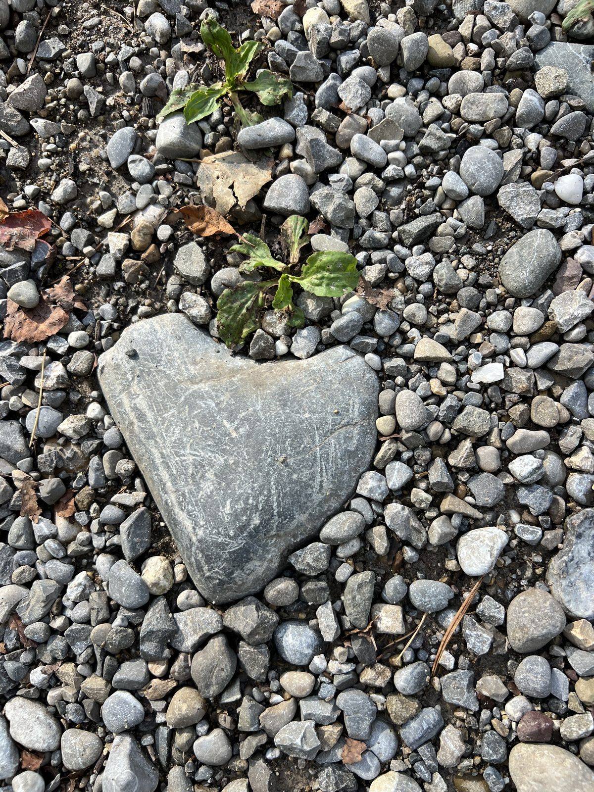 Herzförmiger Stein im Flusskies