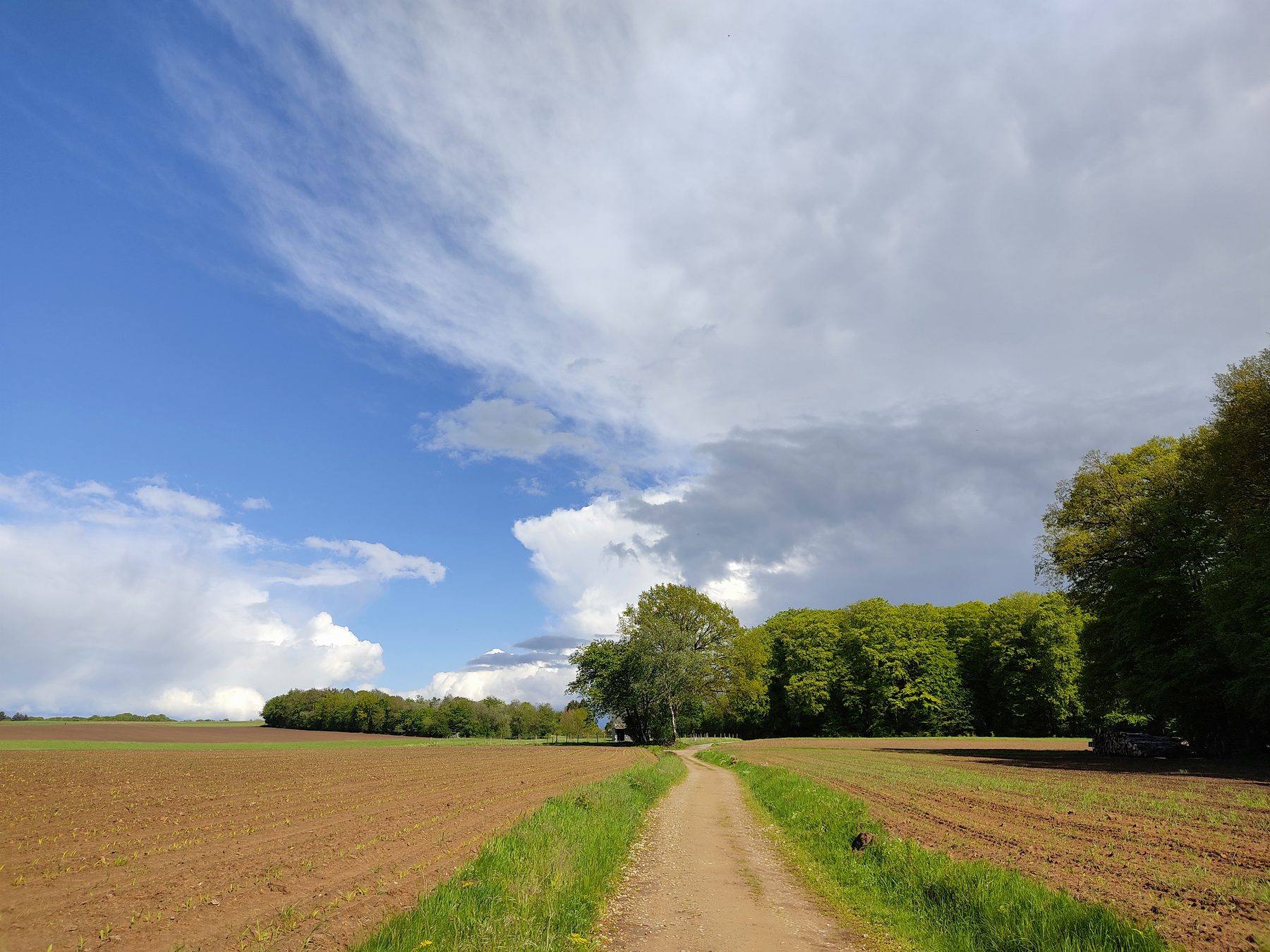 Pfad durch ein offenes Feld